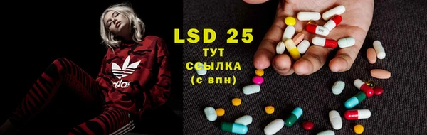 spice Надым