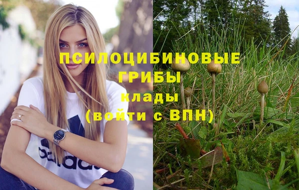 молекула духа Наволоки