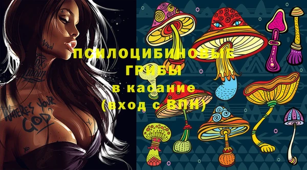 молекула духа Наволоки
