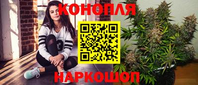спиды Моздок