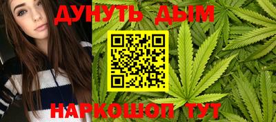 сатива Можайск