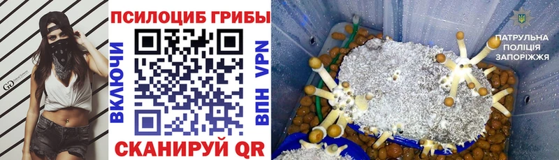 Галлюциногенные грибы GOLDEN TEACHER  Ухта 