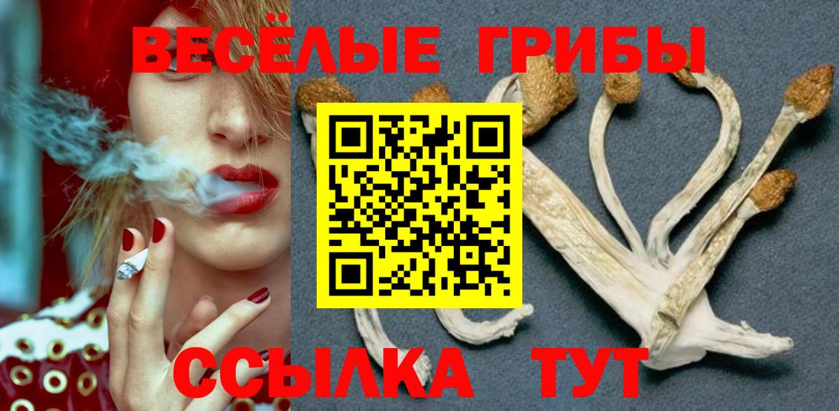 Псилоцибиновые грибы ЛСД Ухта